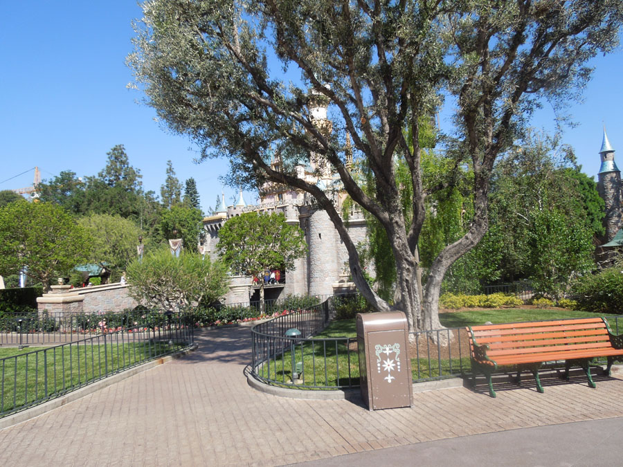 Disneyland Center Circle Picture
